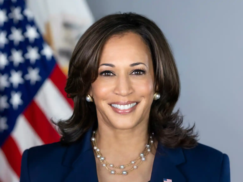 Kamala Harris Necklace